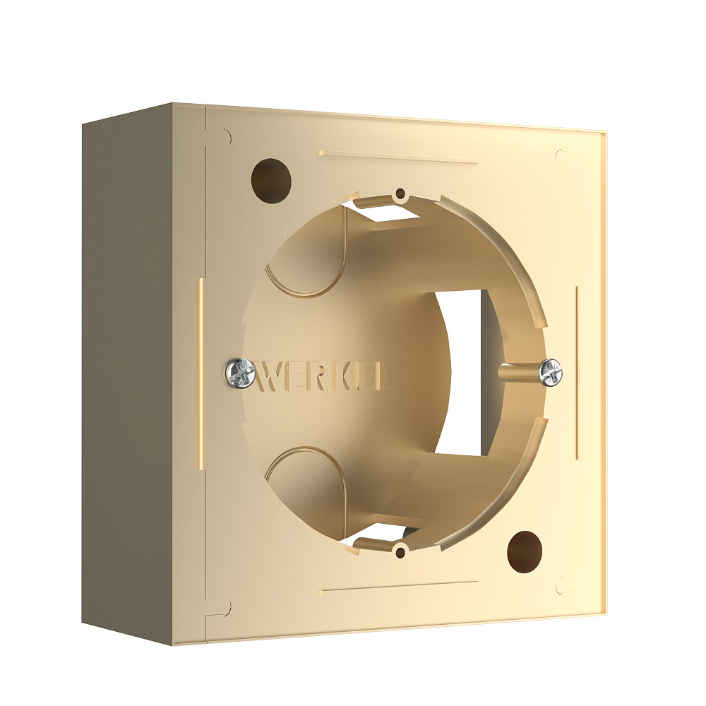 Коробка для накладного монтажа шампань Werkel W8000011 - TheHome