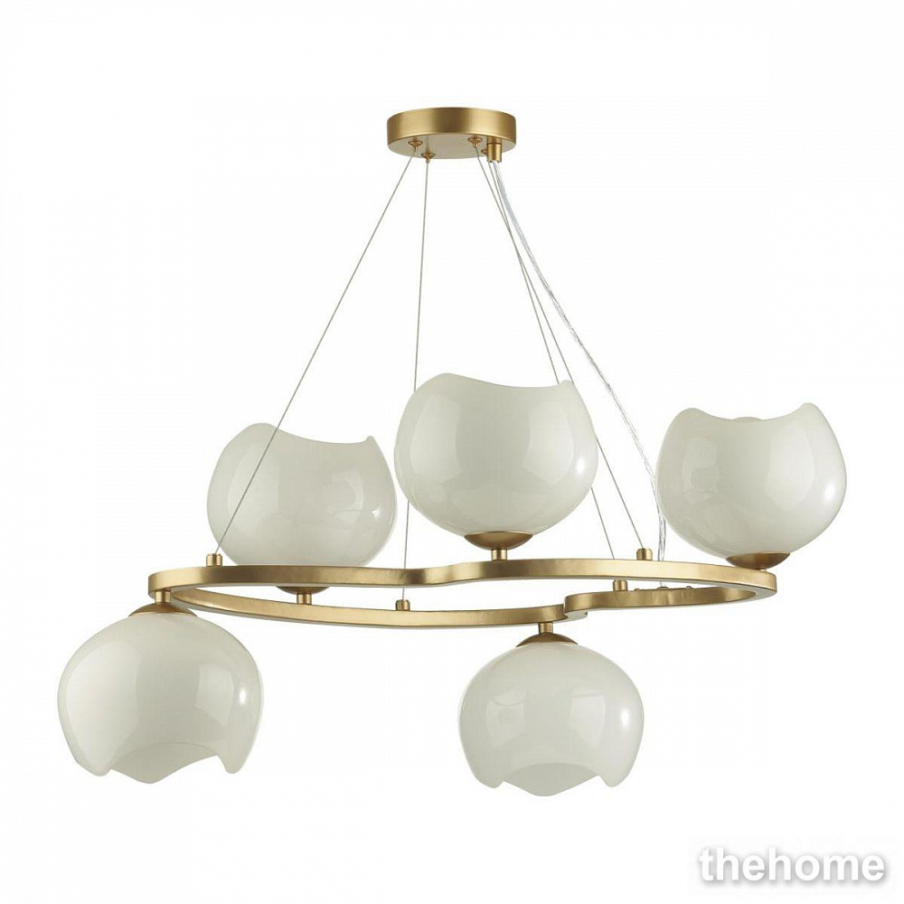 Люстра Odeon Light Exclusive Modern 4873/5 - TheHome