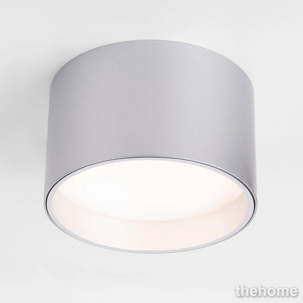 Потолочный светодиодный светильник серебро Elektrostandard Banti 25123/LED 4690389183997 - TheHome